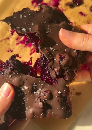 Blueberry chocolate date bark pieces sprinkled with flaky sea salt