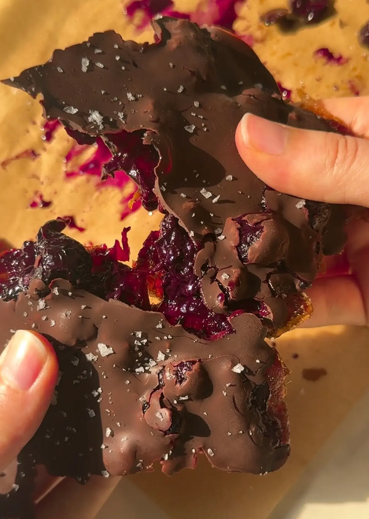 Blueberry chocolate date bark broken into pieces showing the blueberry jam layer and dark chocolate shell