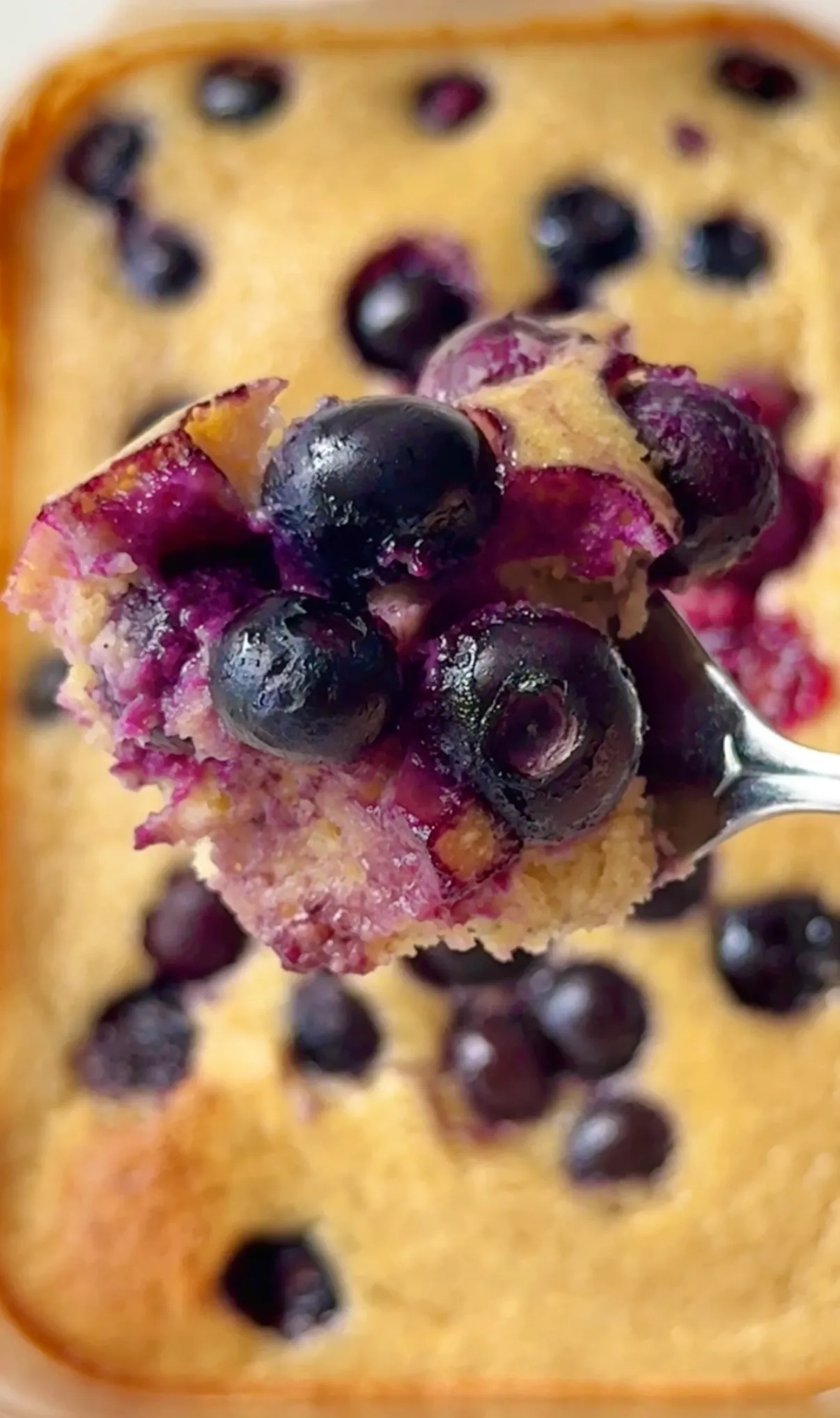 Blueberry muffin pancake bowl topped with juicy baked blueberries